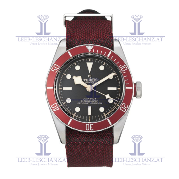 Tudor Black Bay 79230R