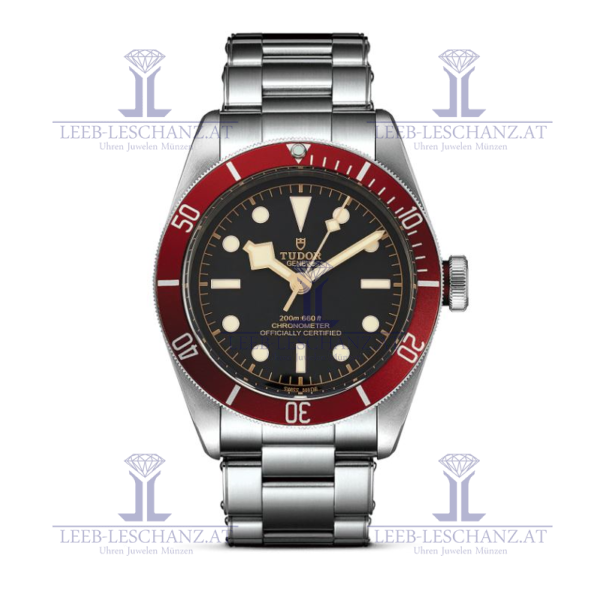 tudor 79230R Steel