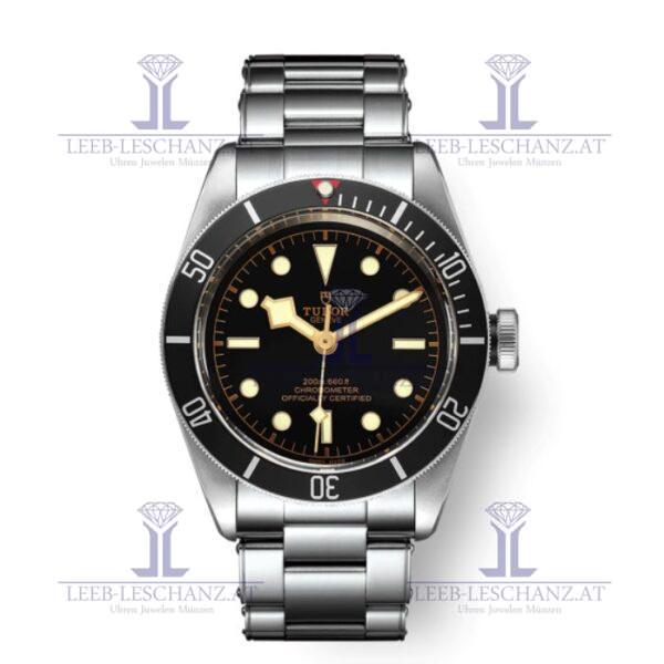 Tudor Black Bay 79230N Steel